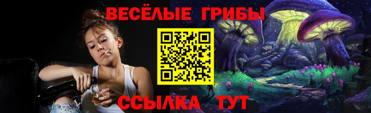 Псилоцибиновые грибы MAGIC MUSHROOMS  Вход с VPN  Омск  Галлюциногенные грибы Magic Shrooms 